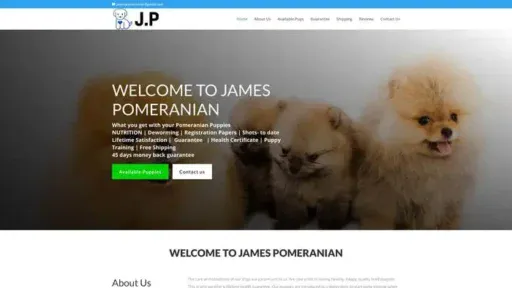 Screenshot of