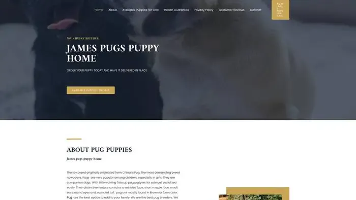 Screenshot of