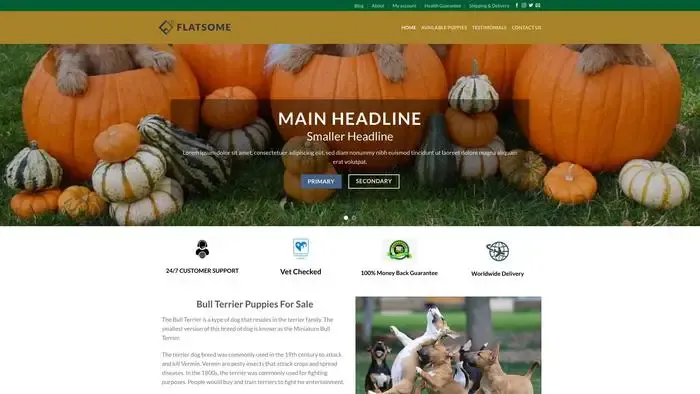 Screenshot of
