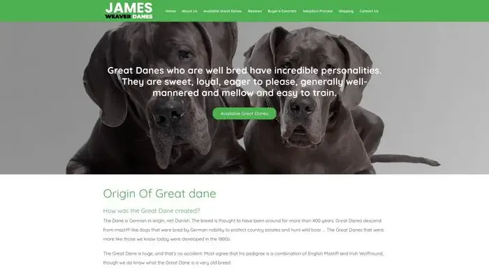 Screenshot of