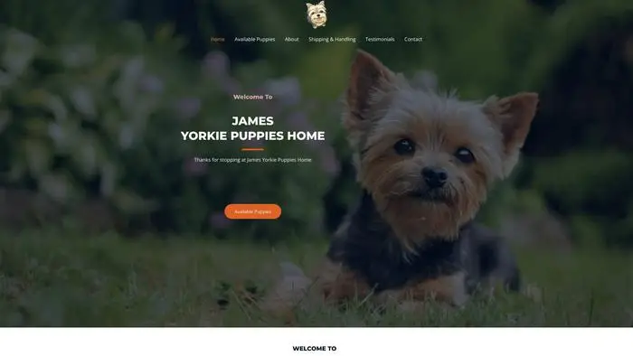 Screenshot of
