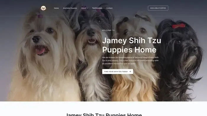Screenshot of