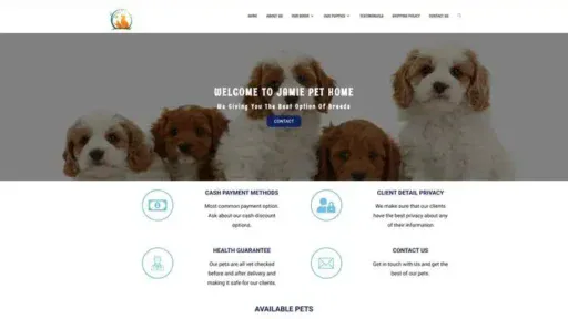 Screenshot of