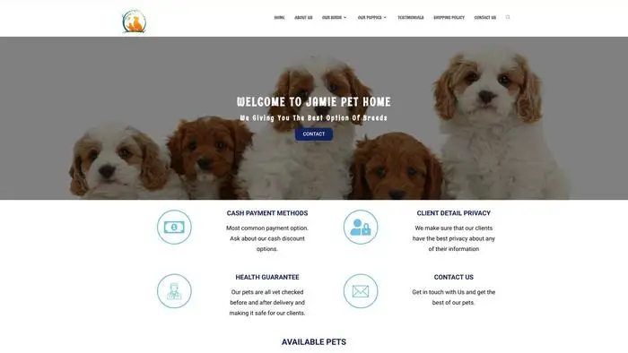 Screenshot of