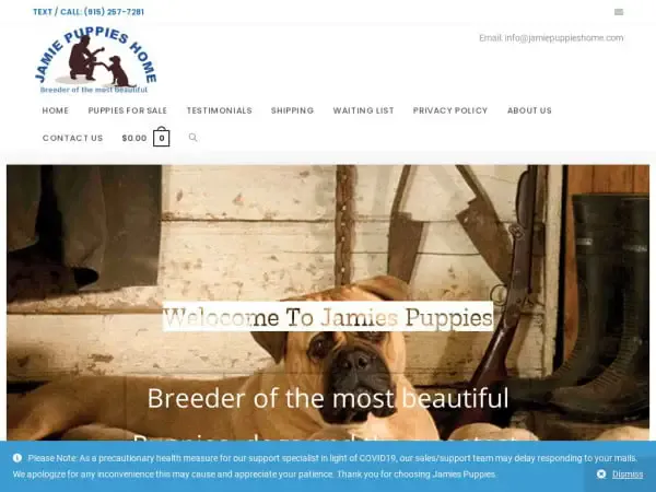 Screenshot of