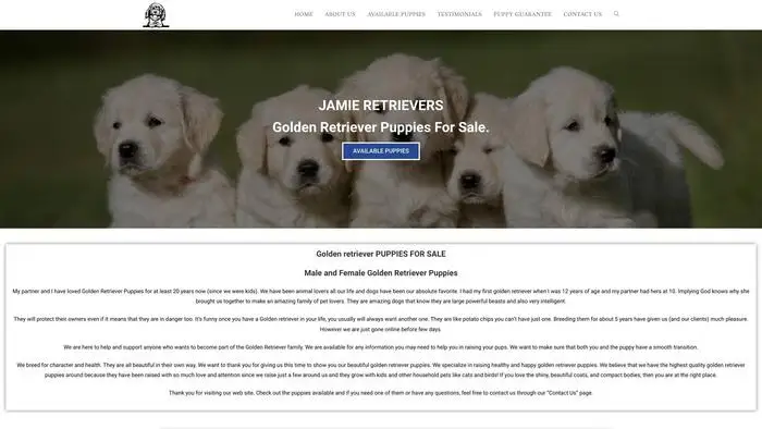 Screenshot of