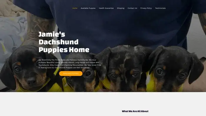 Screenshot of