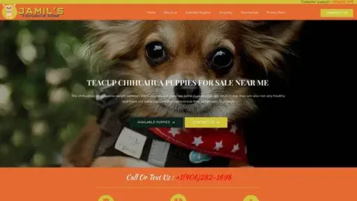 Screenshot of