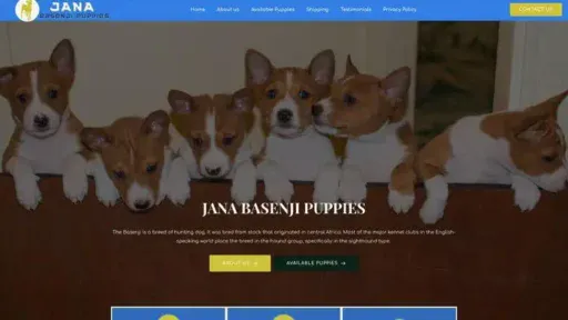 Screenshot of