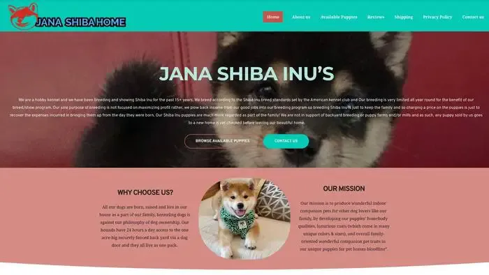Screenshot of