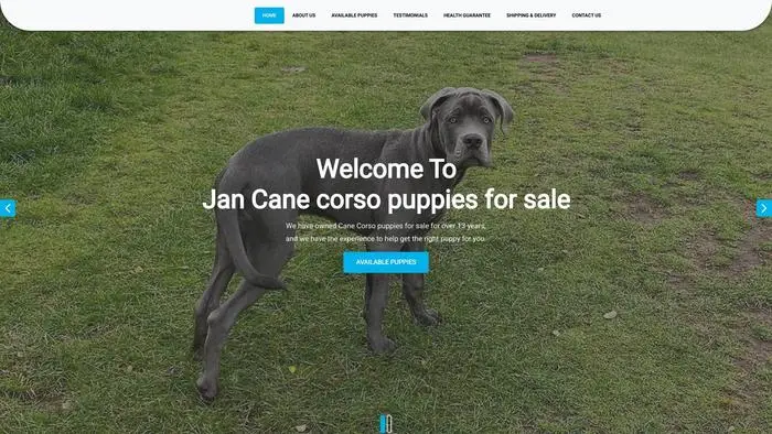Screenshot of