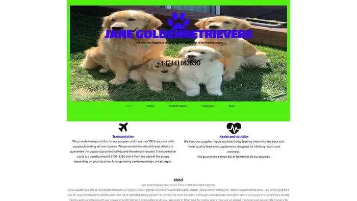 Screenshot of