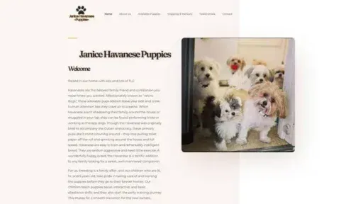Screenshot of