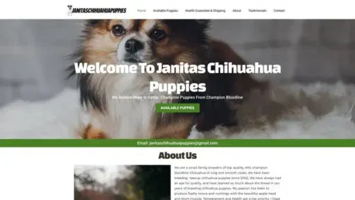 Screenshot of
