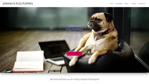 Screenshot of
