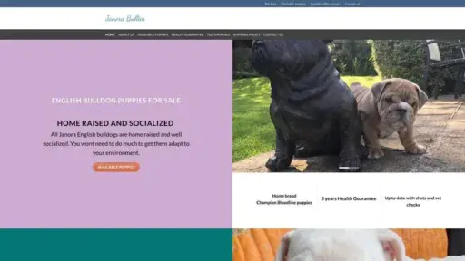 Screenshot of
