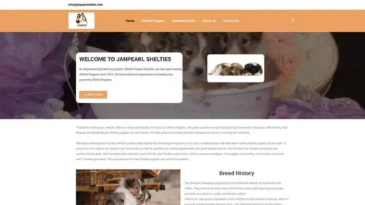 Screenshot of