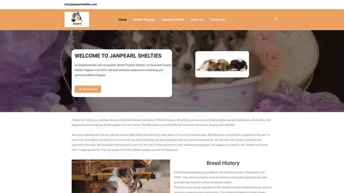 Screenshot of