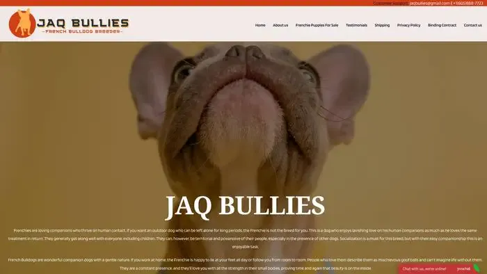 Screenshot of