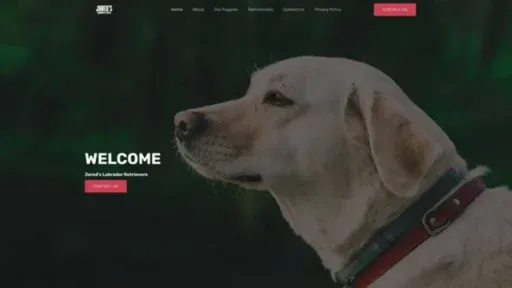 Screenshot of||