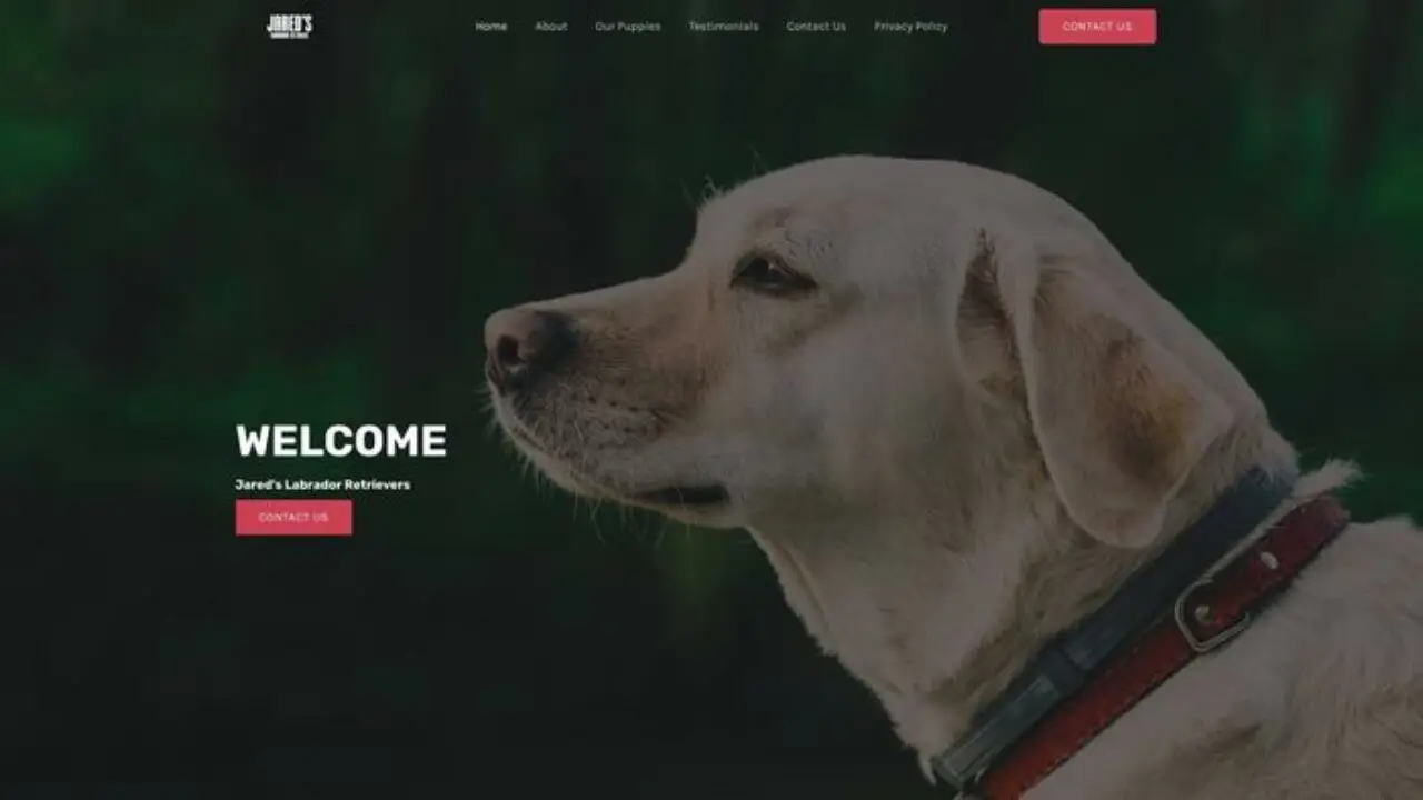 Screenshot of||