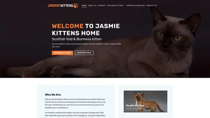 Screenshot of