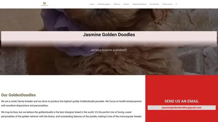 Screenshot of
