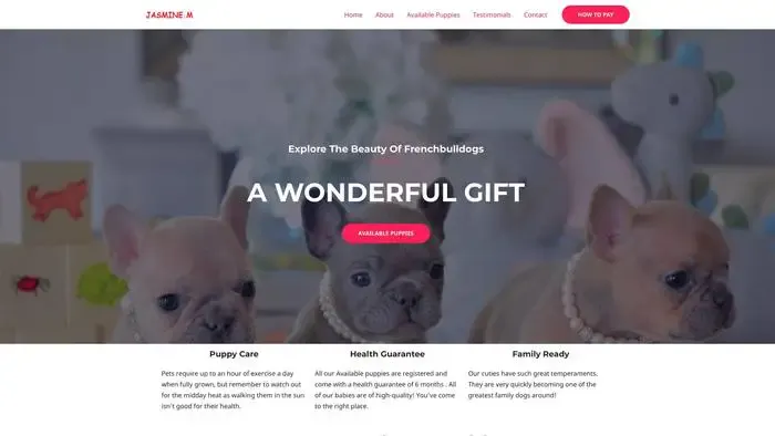 Screenshot of