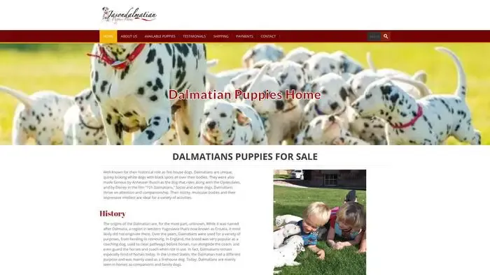 Screenshot of