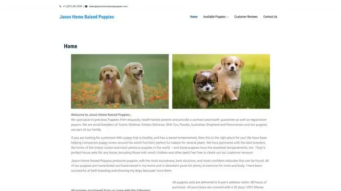 Screenshot of