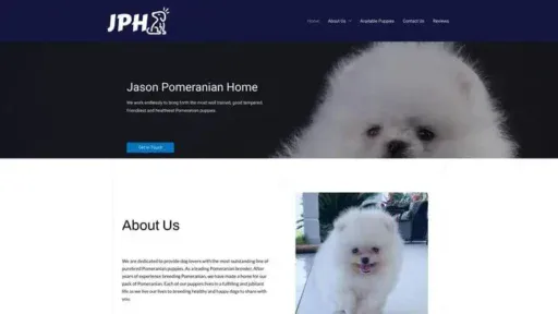 Screenshot of