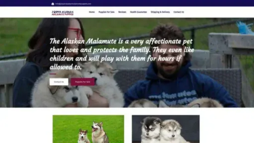 Screenshot of||