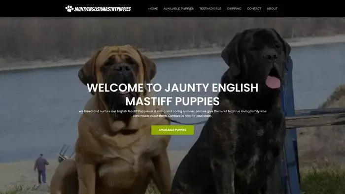 Screenshot of