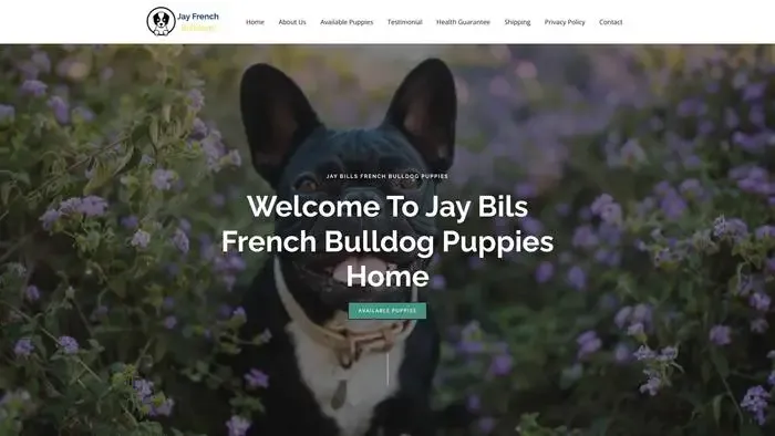 Screenshot of