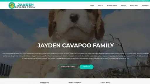Screenshot of