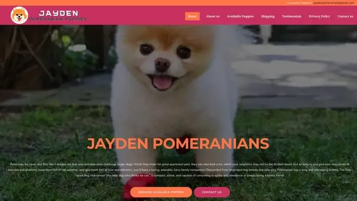 Screenshot of