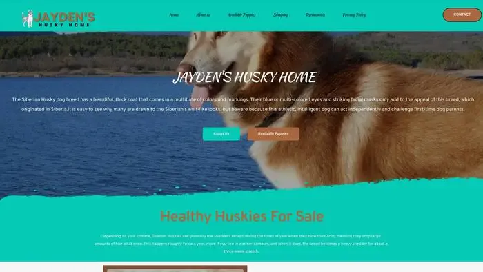 Screenshot of