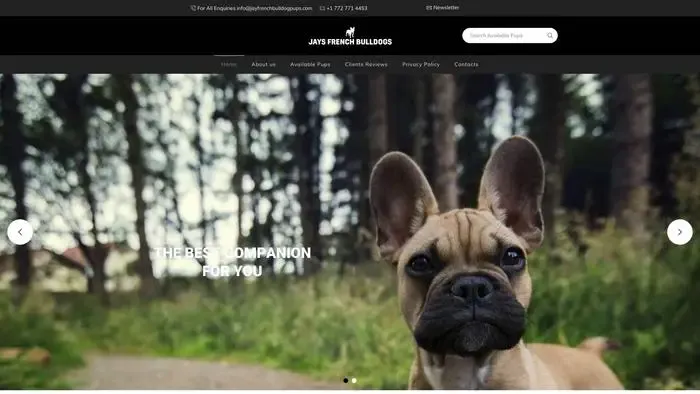 Screenshot of