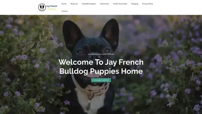 Screenshot of