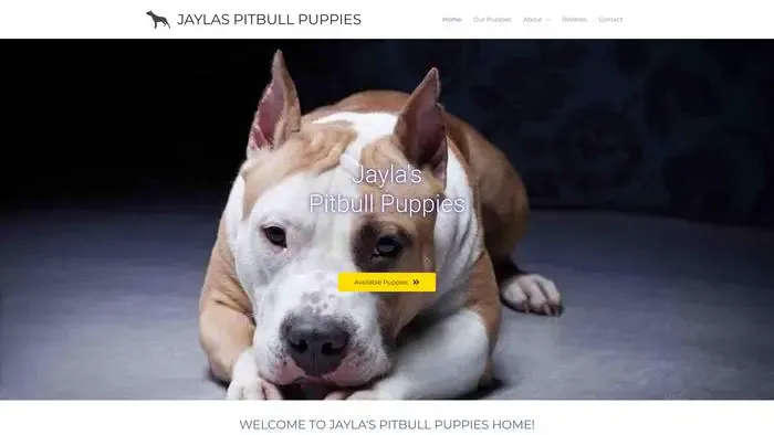 Screenshot of