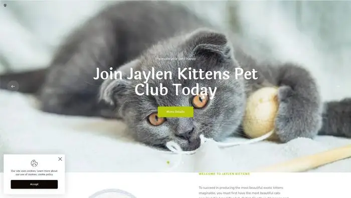 Screenshot of
