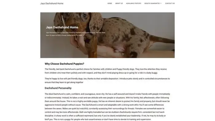 Screenshot of