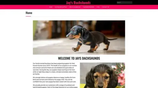 Screenshot of