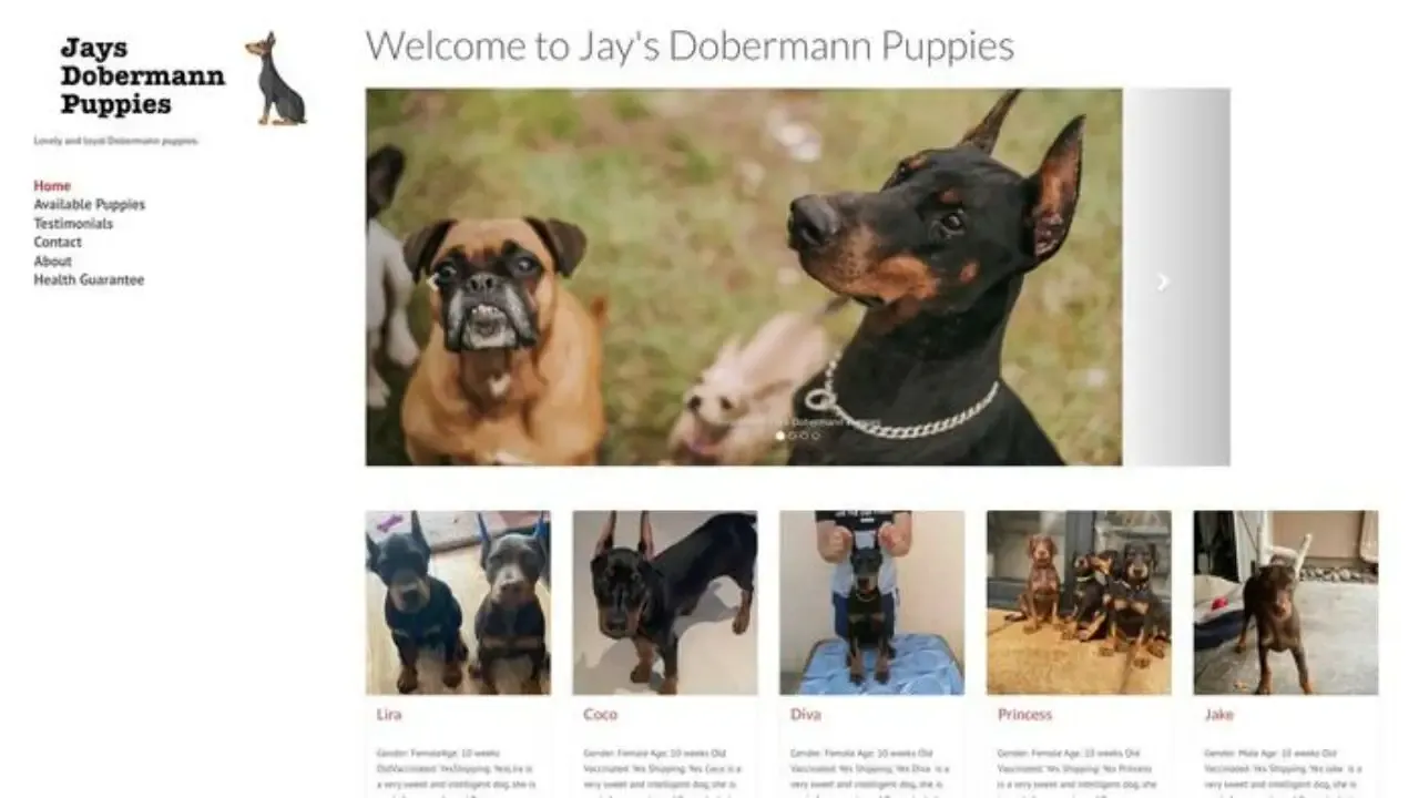 Jaysdobermann