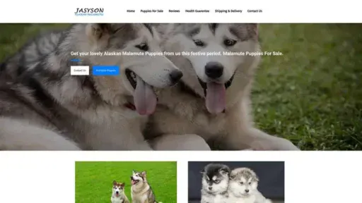 Screenshot of