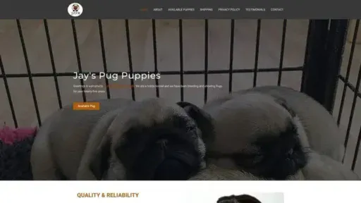 Screenshot of