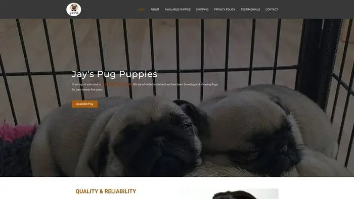 Screenshot of