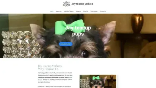 Screenshot of