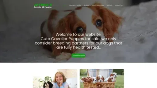 Screenshot of