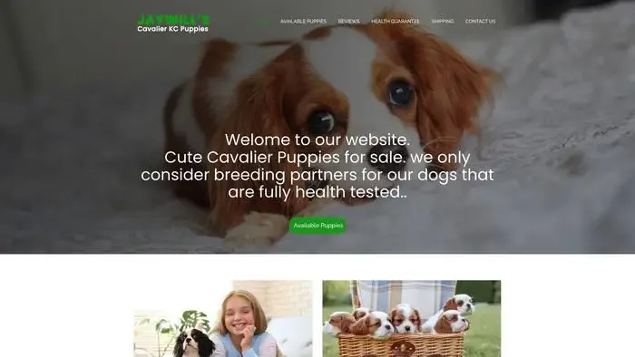 Screenshot of